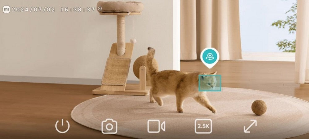 Smart Camera Xiaomi C500 Dual EU